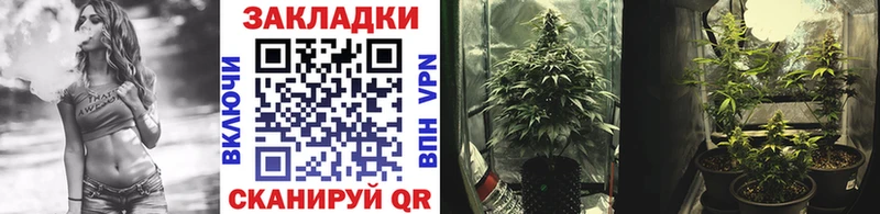 Где продают наркотики Алексеевка Альфа ПВП  Кокаин 