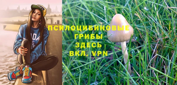 мдпв Медвежьегорск