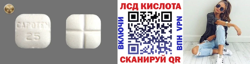 где найти наркотики  Алексеевка  LSD-25 экстази ecstasy 
