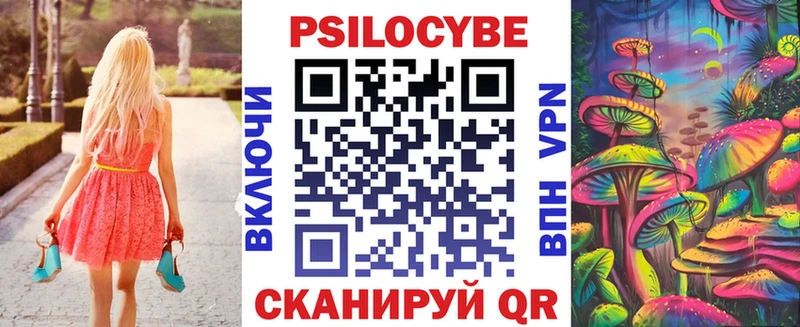 Псилоцибиновые грибы Cubensis KRAKEN сайт Алексеевка